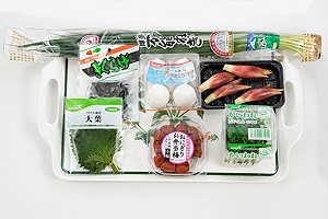 ぶっかけ豆乳冷やしうどん