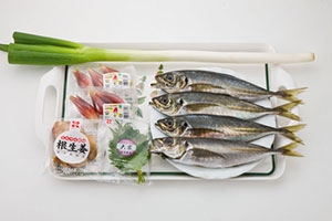 鯵のみょうが味噌