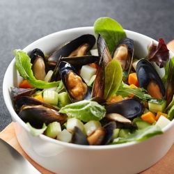 ムール貝のサラダ