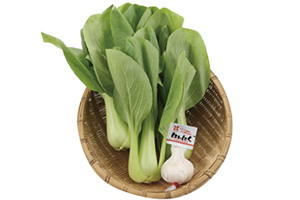 青梗菜(チンゲンサイ)の炒め物