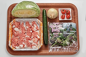 春野菜たっぷりの豚肉サラダ