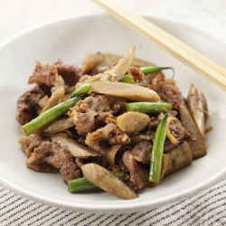 牛肉とごぼうの含め煮