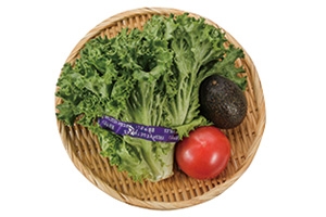 父の日 体のために! パワーサラダ