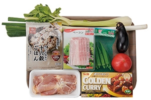 夏野菜の和風カレー