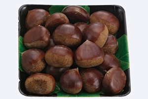 スコップモンブラン