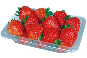 フルーツココアパウンドケーキ