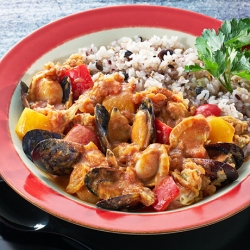 Shellfishスパイスカレー