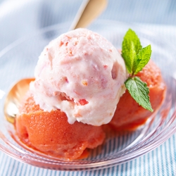 手作りトマトシャーベットとアイスクリーム