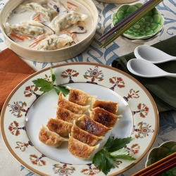 豆腐と鶏挽き肉の手作りいろいろ餃子