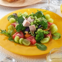 チキンと枝豆のECHIGO salad