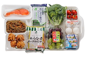 大人も子どもも! 行楽おにぎり弁当